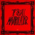 Manipulator